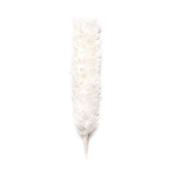 house-of-scotland-feather-hackle-white-color-12-inches